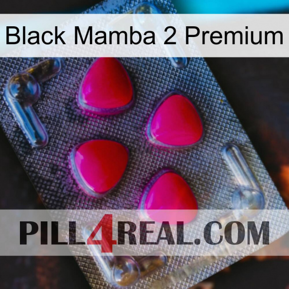 Black Mamba 2 Premium 13.jpg